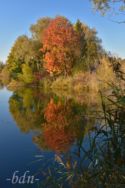 Prächtiges Herbstlaub am Moosburger Baggersee