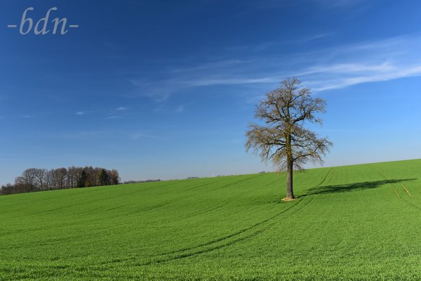 Die Saat ist aufgegangen
