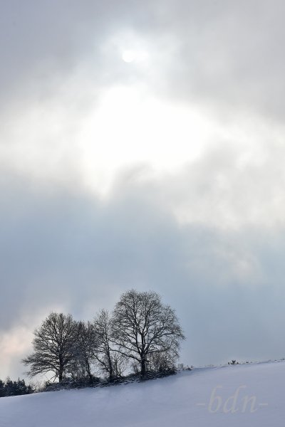 Unter der fahlen Wintersonne