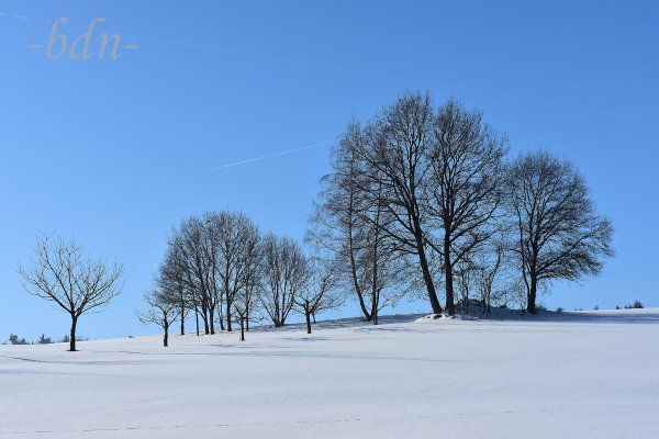 Winteridylle im Naturpark Bayerischer Wald