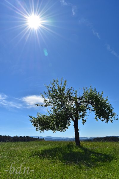 Sonne nach vielen Regentagen