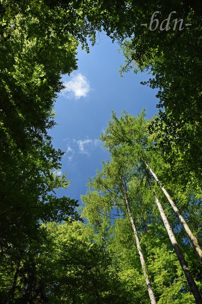 Das Fenster zum Himmel