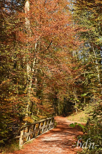 Wanderung durch das herbstliche Kiental bei Andechs