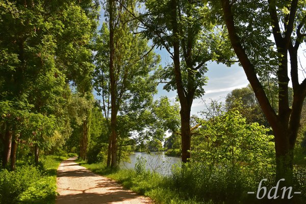 Spaziergang im Auwald an der Isar bei Moosburg