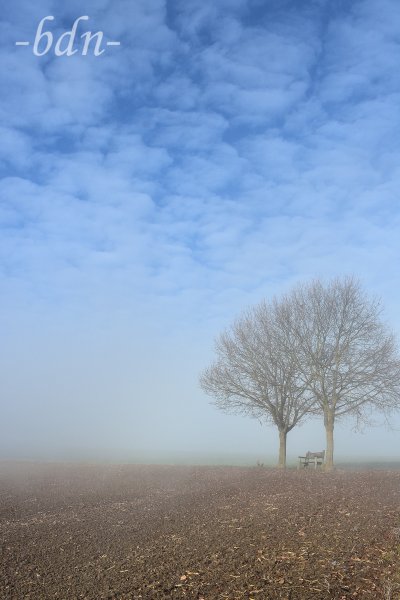 Nebelbank
