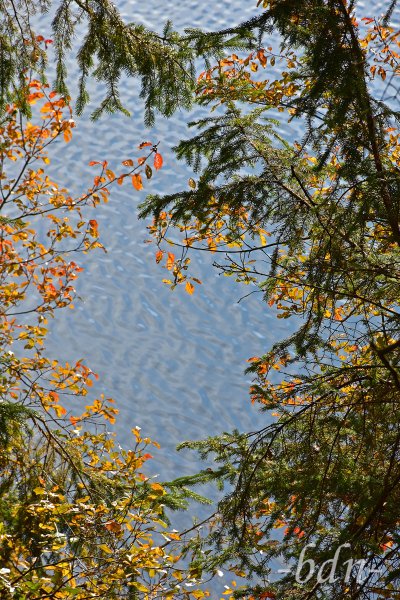 Herbstlicher Ausblick auf den Höllensteinsee, Bayerischer Wald