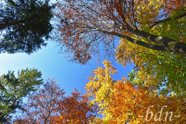 Die Farbpalette der Natur