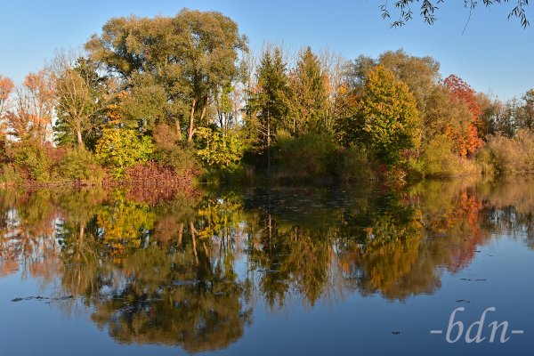 Herbstliche Bäume spiegeln sich im Moosburger Baggersee