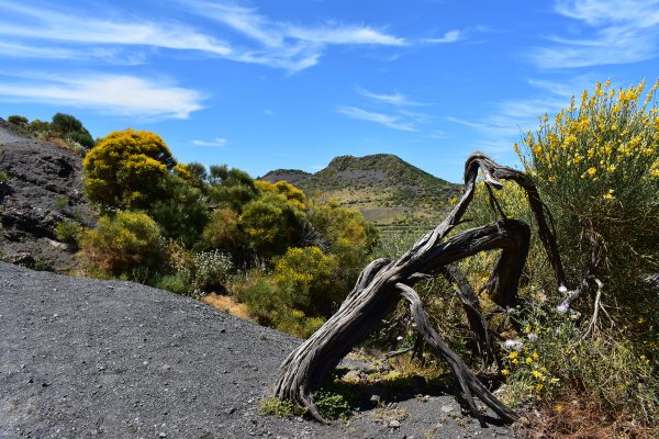 Monte Saraceno, Vulcano, Äolisches Archipel