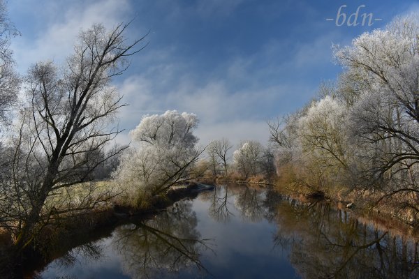 Ein frostiger Tag in der Amperau bei Moosburg
