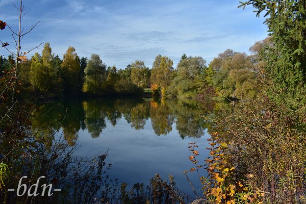 Goldener Herbstmorgen am Bonauer Weiher bei Moosburg