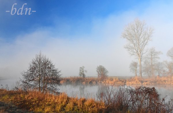 Nebel über dem Ampertal