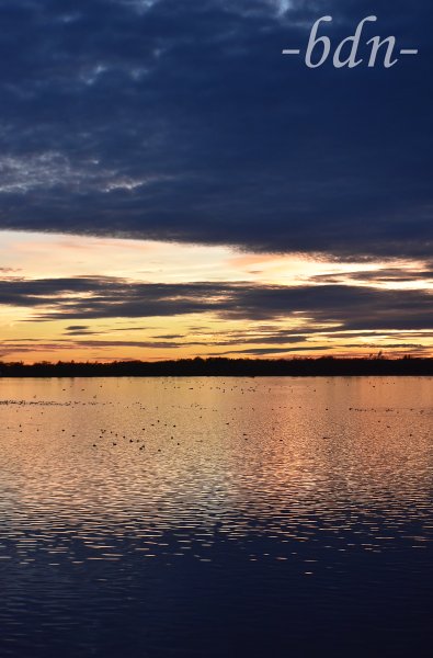 Dunkle Wolken in der Blauen Stunde über der Vogelfreistätte Mittlere Isarstauseen