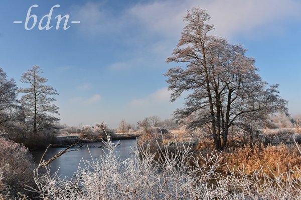 Ein eiskalter Morgen am Altwasser der Amper