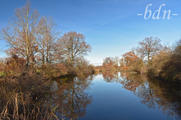 Herbst am Weiher bei Moosburg-Thonstetten