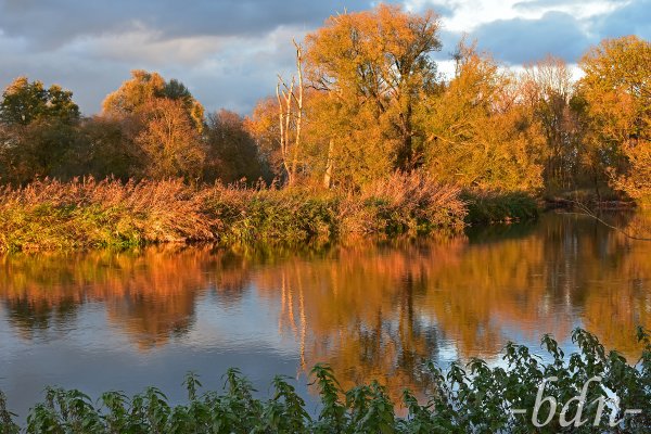 Goldener Oktober im Landschaftsschutzgebiet Amperauen