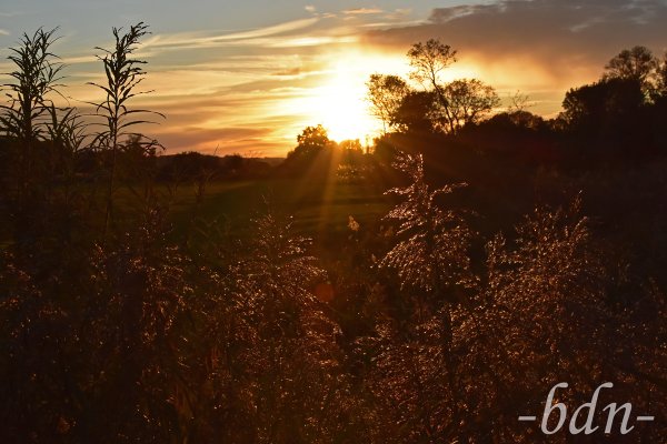 Letzte Sonnenstrahlen über dem Landschaftsschutzgebiet Amperauen