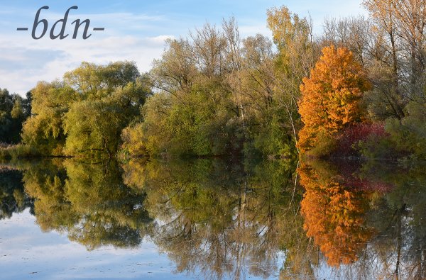 Herbstimpressionen am Weiher