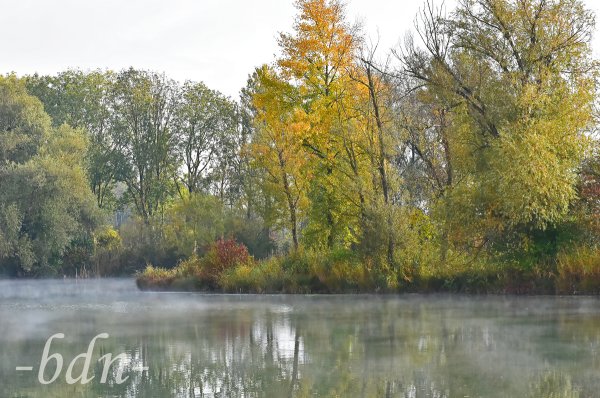 Nebelschwaden über dem Weiher