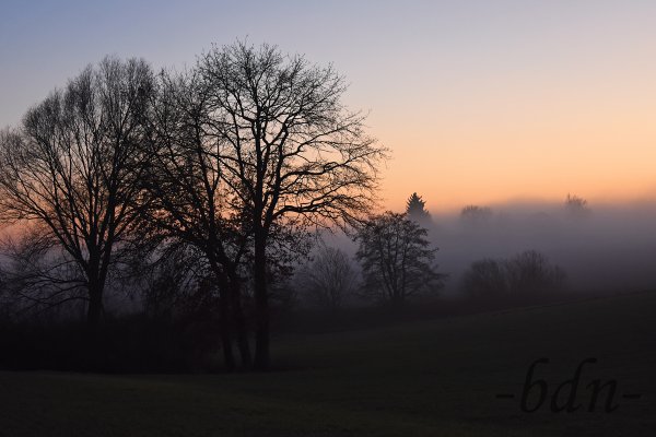 Nebel im Tal bei untergehender Sonne