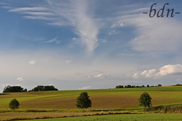 Wolkenschleier über der Holledau