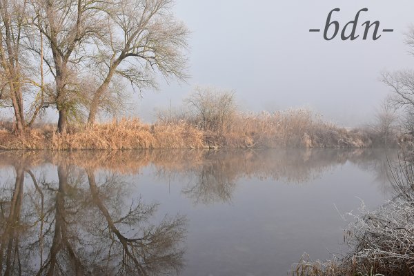 Nebel und Raureif im Ampertal