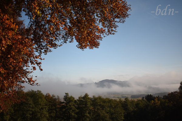 Der Gallner taucht aus dem Nebel auf