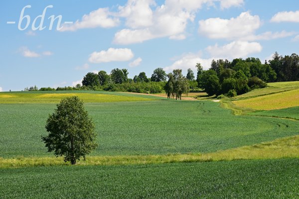 Schäfchenwolken über den Feldern bei Sixthaselbach