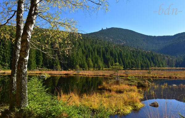 Kleiner Arbersee im Naturpark Oberer Bayerischer Wald