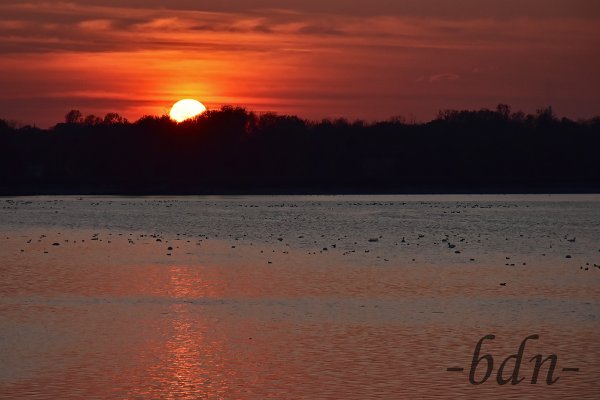 Sonnenuntergang hinter der Vogelfreistätte Mittlere Isarstauseen