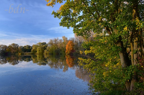 Herbstidylle am Moosburger Baggersee