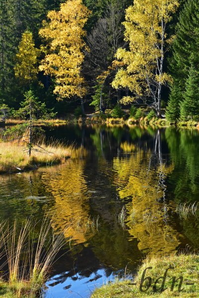 Herbst am Kleinen Arbersee