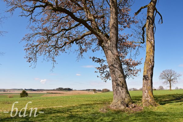 Schöner Ausblick in die Hallertau