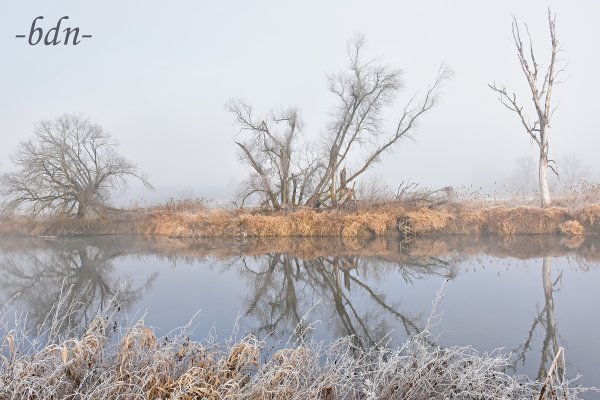 Dichter Nebel und Raureif im Landschaftsschutzgebiet Amperauen