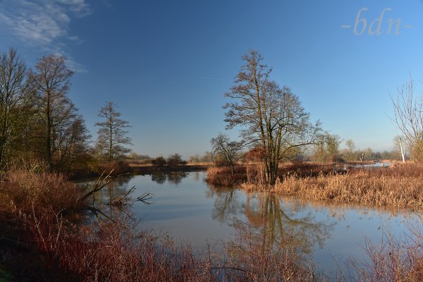 Am Altwasser der Amper bei Moosburg