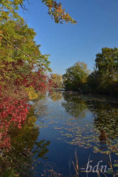 Bunter Herbst am Weiher bei Moosburg-Thonstetten