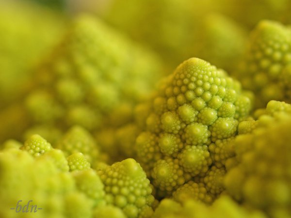 Romanesco