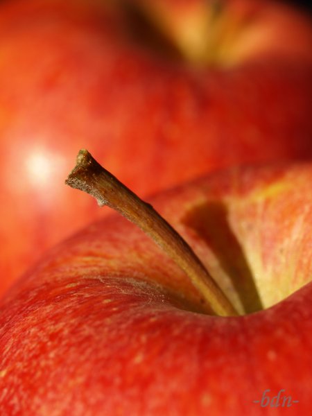 Obst, Gemüse und Co