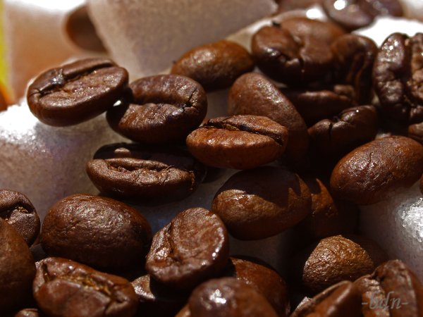 Kaffeebohnen auf Würfelzucker