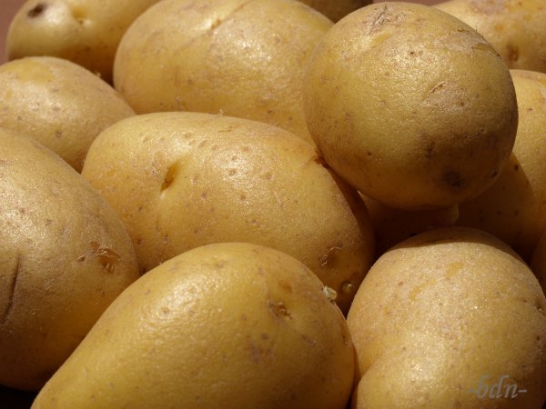 Neue Kartoffeln