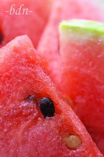 Scheiben einer Wassermelone