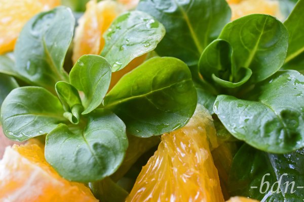 Feldsalat mit Orangen