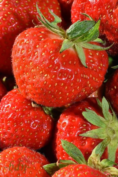 Erdbeeren