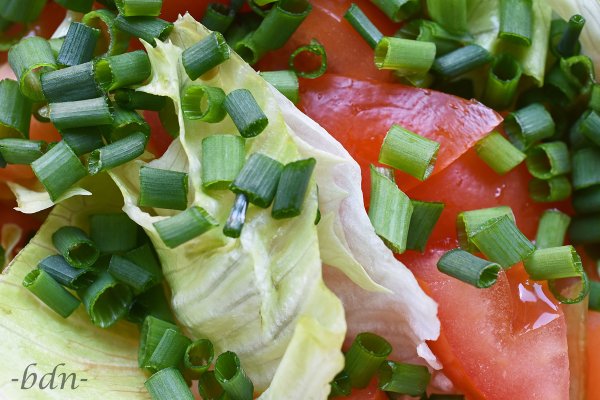 Schnittlauchröllchen auf gemischtem Salat