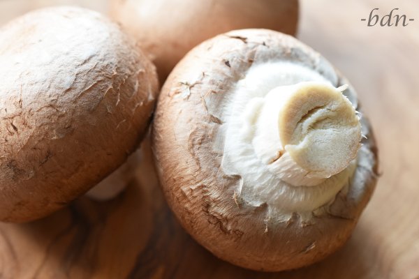 Braune Champignons
