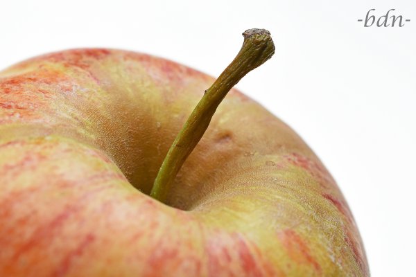 Apfel im Detail