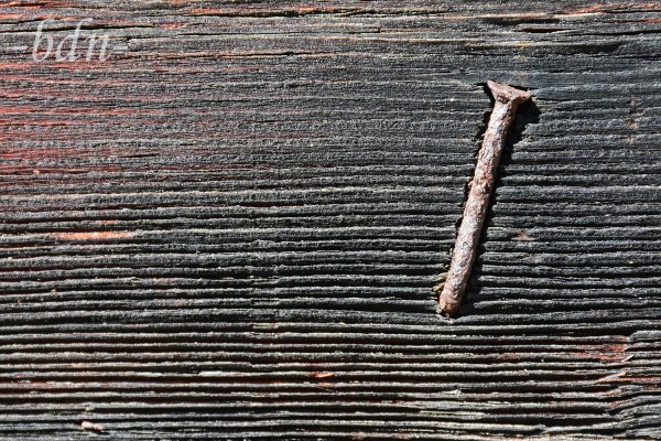 Rostiger Nagel in einer Holzwand