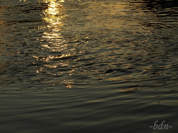 Flüssiges Gold