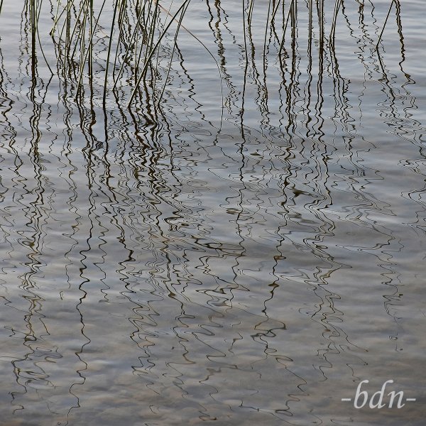 Wasserlinien