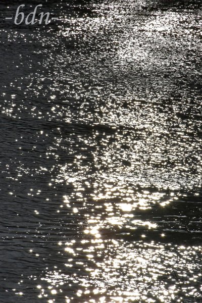 Der silberne Fluss - Lichtreflexe tanzen auf dem Wasser